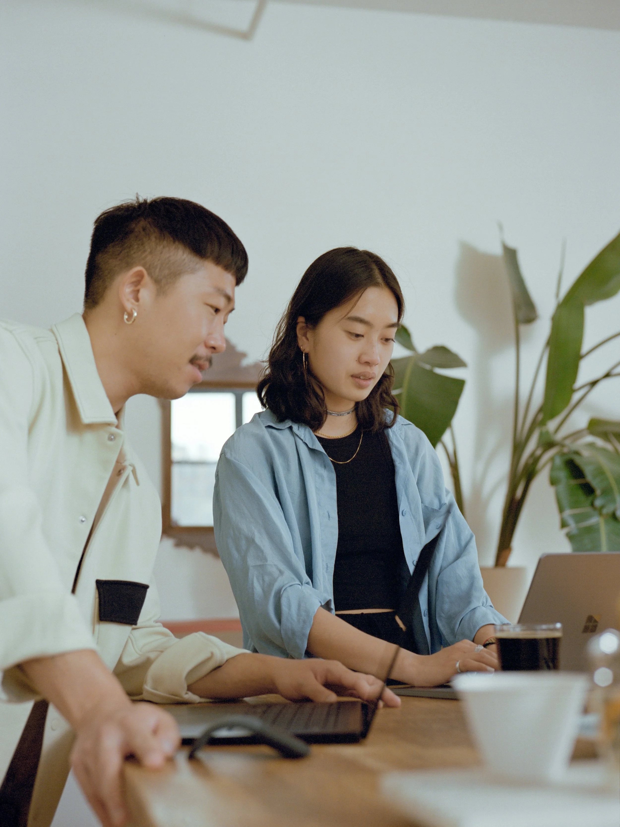Two young adults working on laptops at a desk in a well-lit room with a large potted plant in the background.